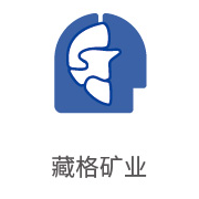 必发bifa合作同伴：藏格矿业